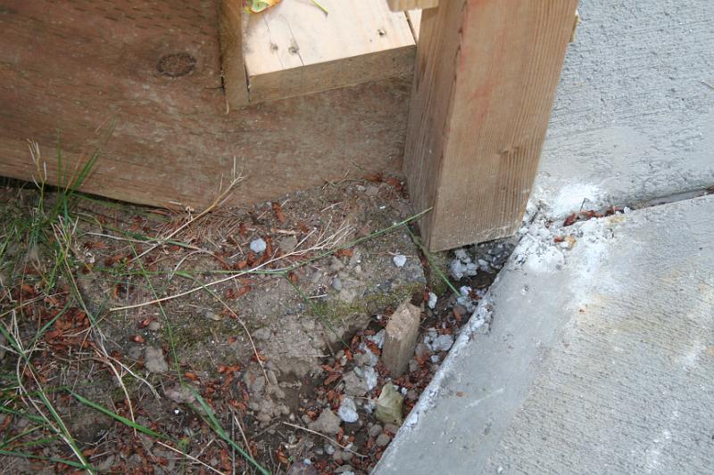 IMG_1752.JPG - Front stairs sitting on concrete pavers. Not secure. - left side