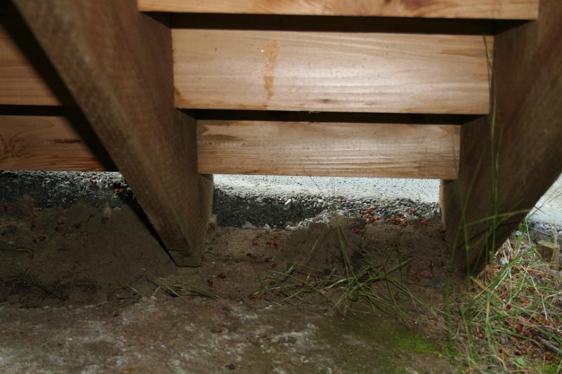 IMG_1755.JPG - Risers sitting on soil